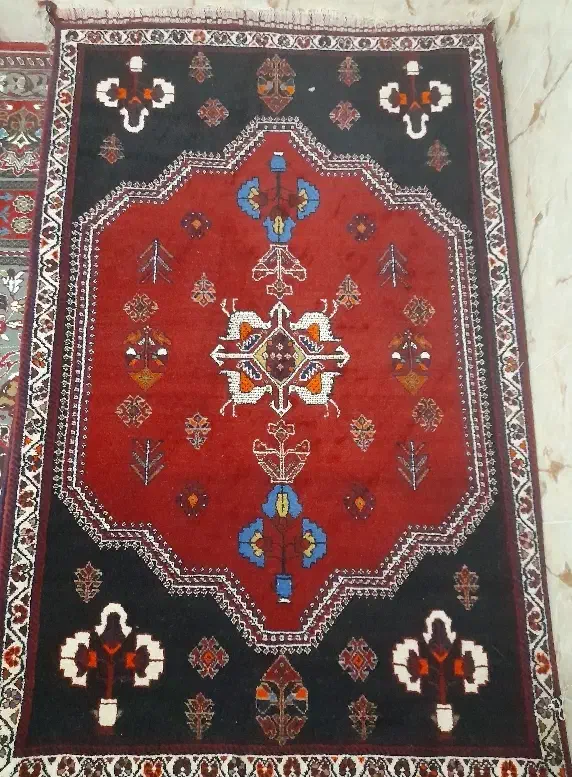 قالی دست باف|فرش|جهرم, |دیوار