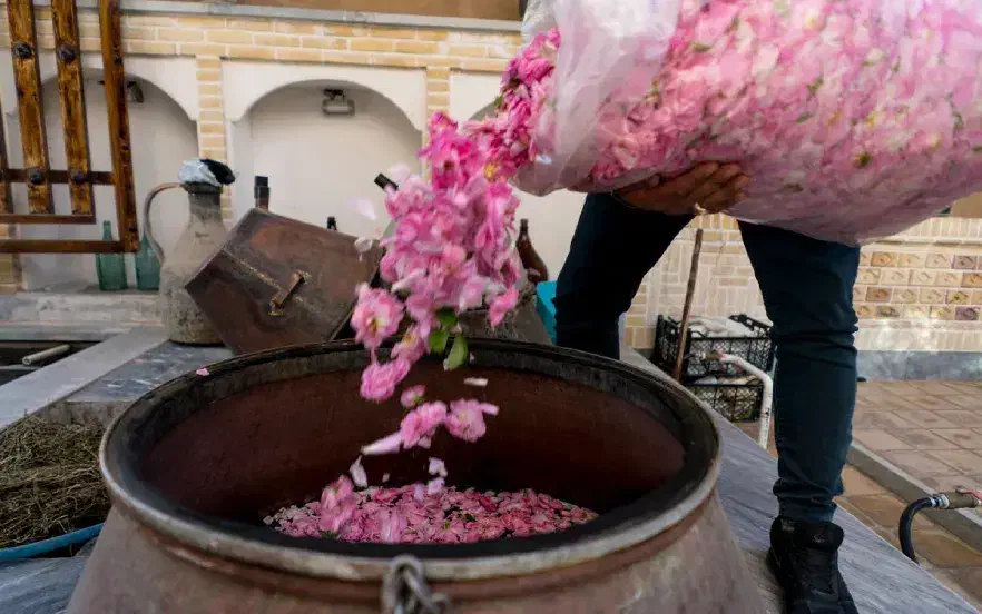 گلاب ناب کاشان|خوردنی و آشامیدنی|رشت, آب آسیاب|دیوار