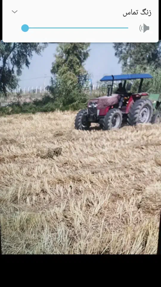 کاه شالی کمل|حیوانات مزرعه|مینودشت, |دیوار