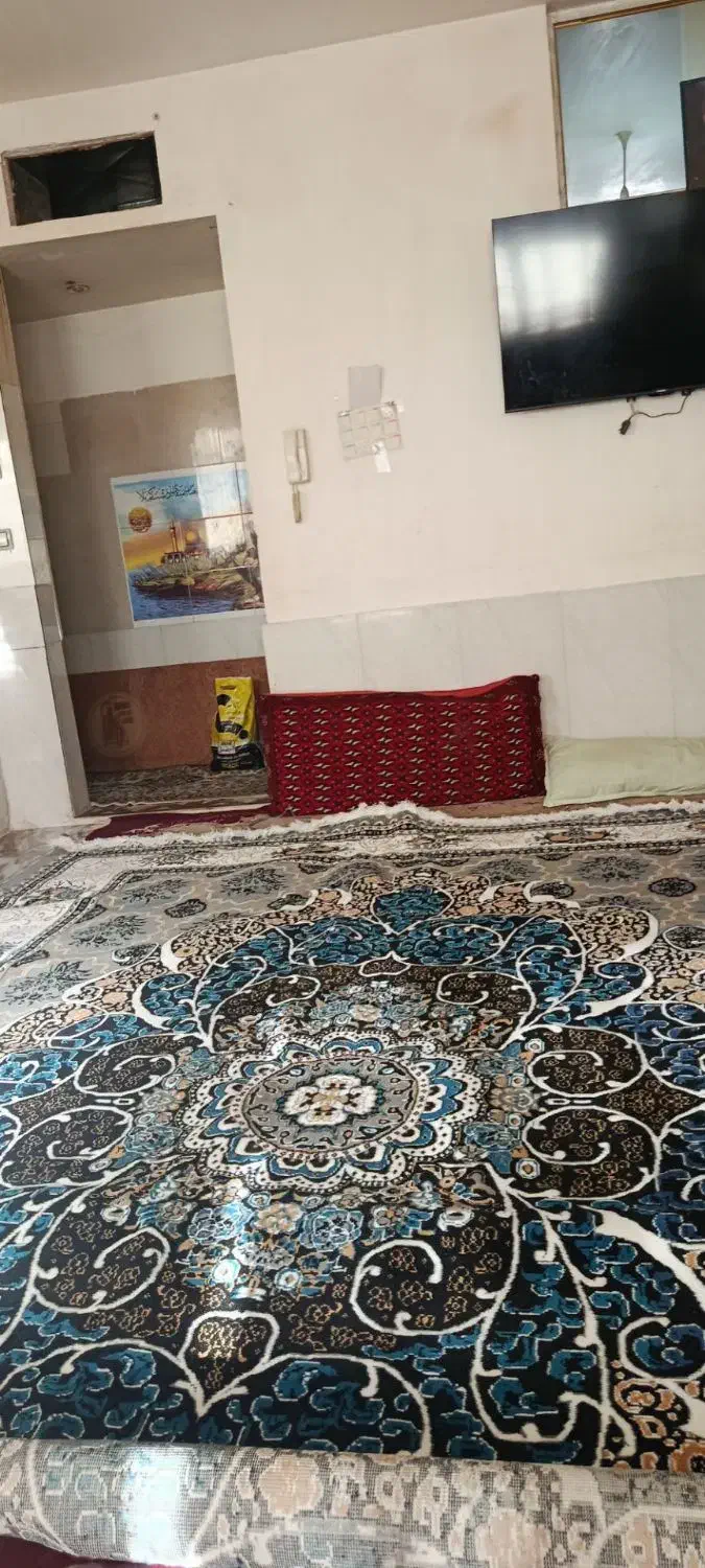 فرش|فرش|سبزوار, شرق کال عیدگاه|دیوار