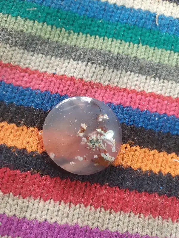 شجر شاخه گل بهاری|جواهرات|اردبیل, |دیوار