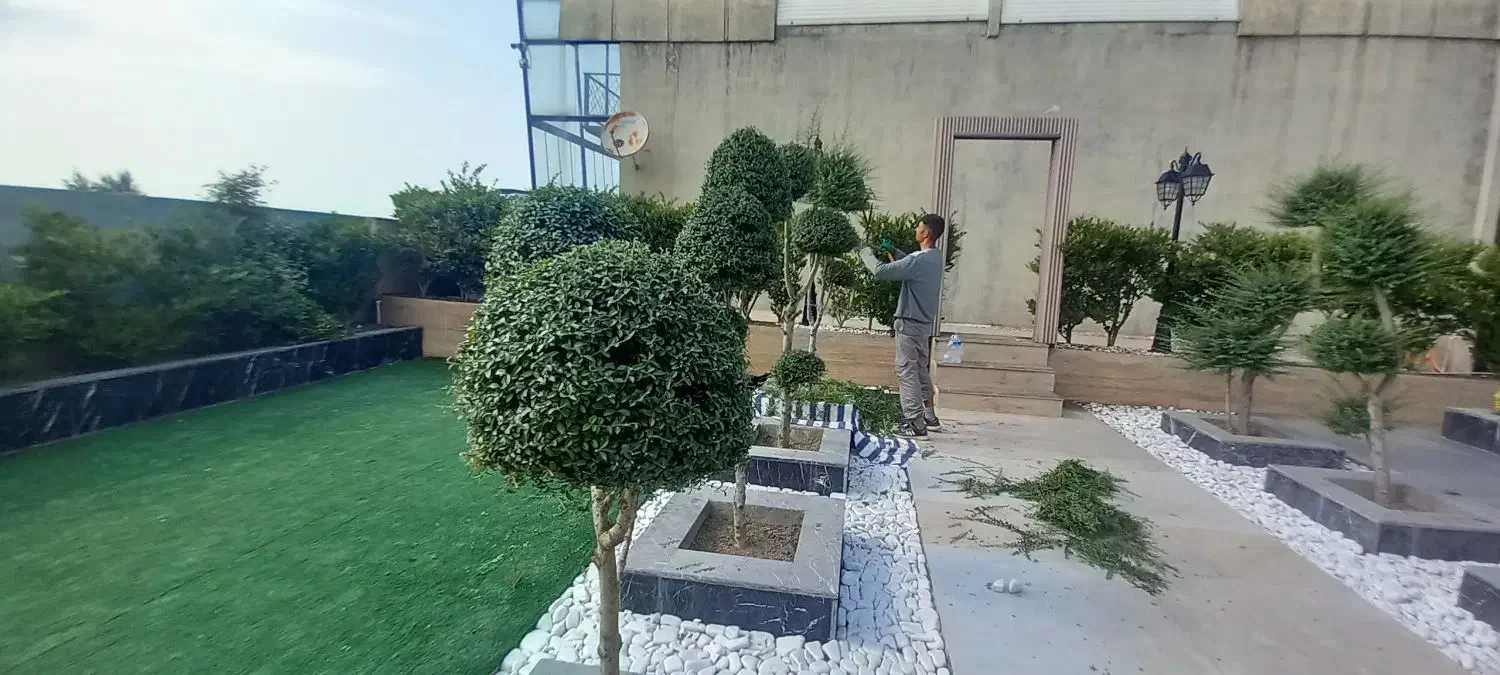 باغچه کاری و نگهداری اصولی باغچه|خدمات باغبانی و درختکاری|آمل, |دیوار