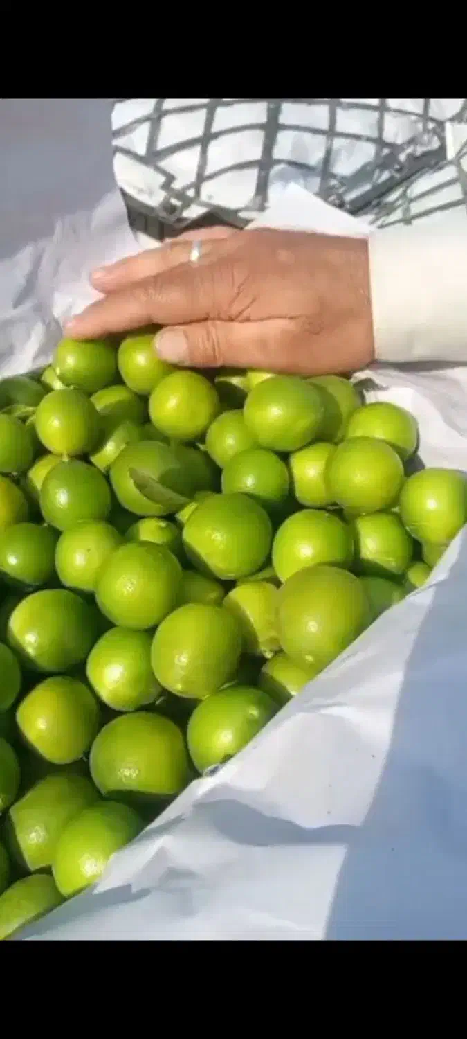 بار لیمو تازه|عمده‌فروشی|چابهار, |دیوار