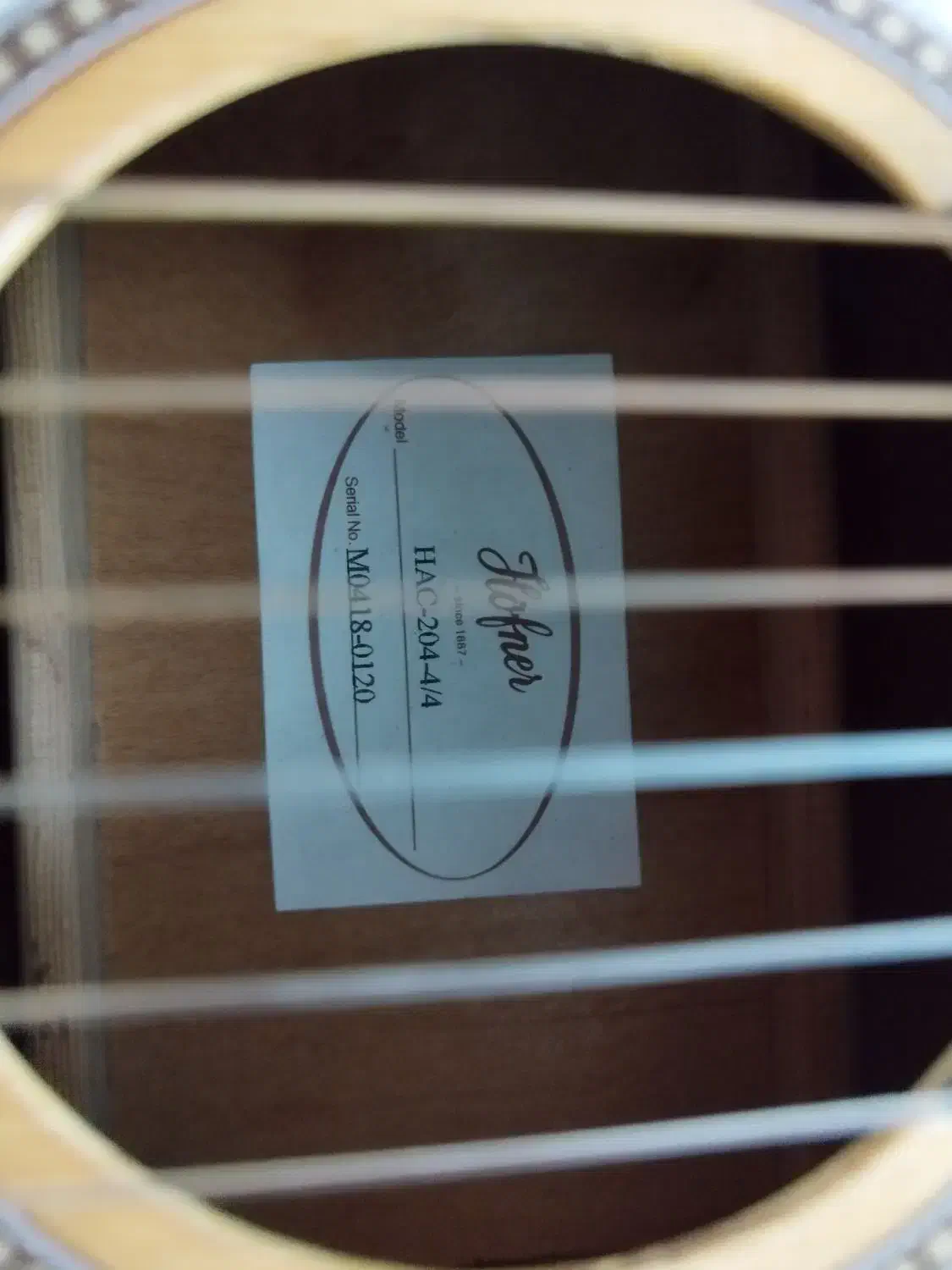 گیتار کلاسیک هافنر، سالم و در حد نو|گیتار، بیس، امپلیفایر|رشت, سلیمانداراب|دیوار