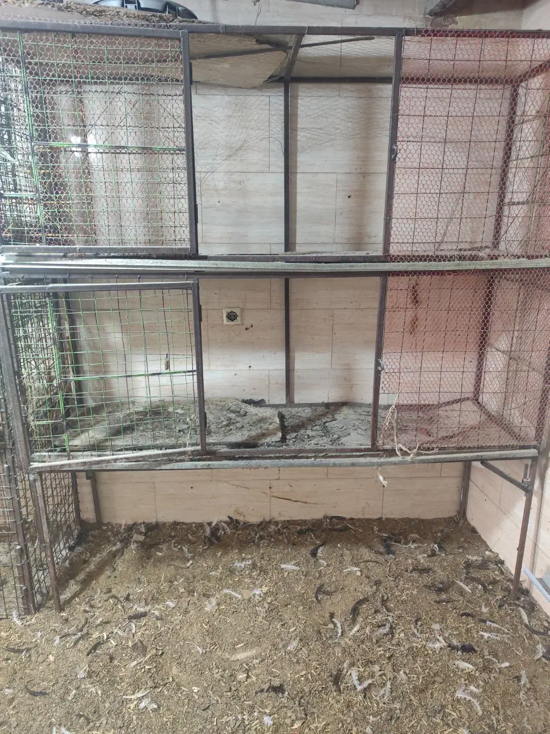 قفس آهنی سبد مرغی،فروشی|فروشگاه و مغازه|محمدشهر, علی آباد گونه|دیوار