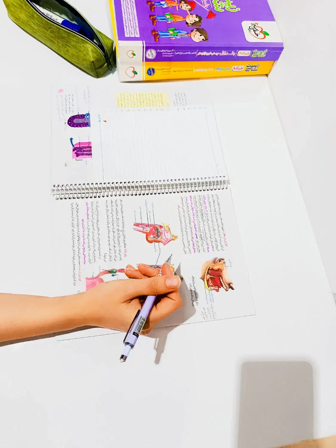 پانسیون مطالعاتی vip هدف|خدمات آموزشی|اهواز, گلستان|دیوار