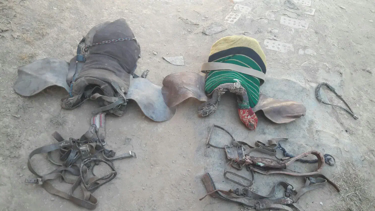 ۲عدد زین اسب در حد نو موجود است|اسب و تجهیزات اسبسواری|زنجان, |دیوار