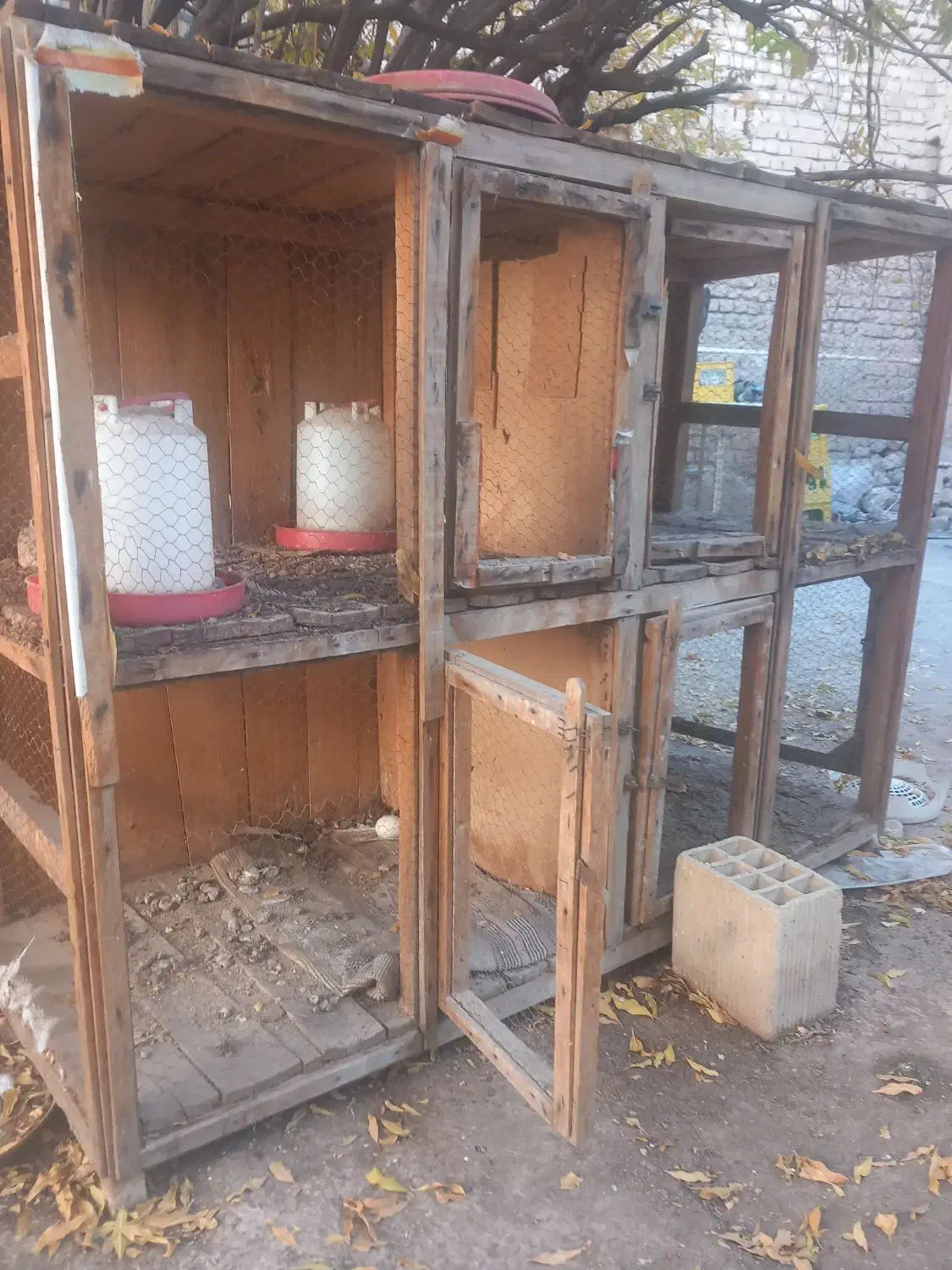 قفس کنجه جفت کن|لوازم جانبی حیوانات|قم, زند آباد|دیوار