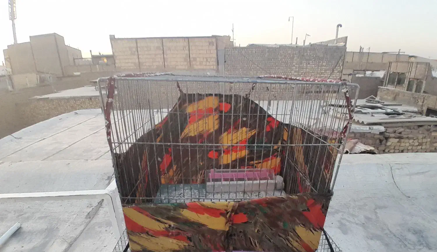 قفس|لوازم جانبی حیوانات|قم, علی آباد سعدگان|دیوار