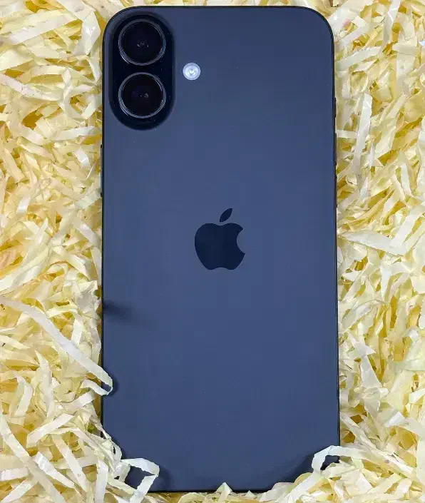 آیفون ۱۶ پلاس ۱۲۸|موبایل|تهران, شهرک بوعلی|دیوار