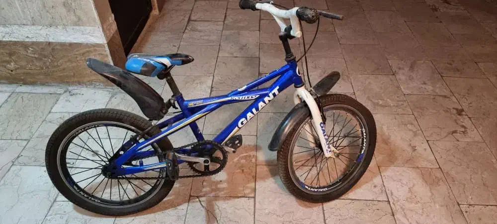 دوچرخه سایز ۱۶ گالانت|دوچرخه، اسکیت، اسکوتر|تهران, آزادشهر|دیوار