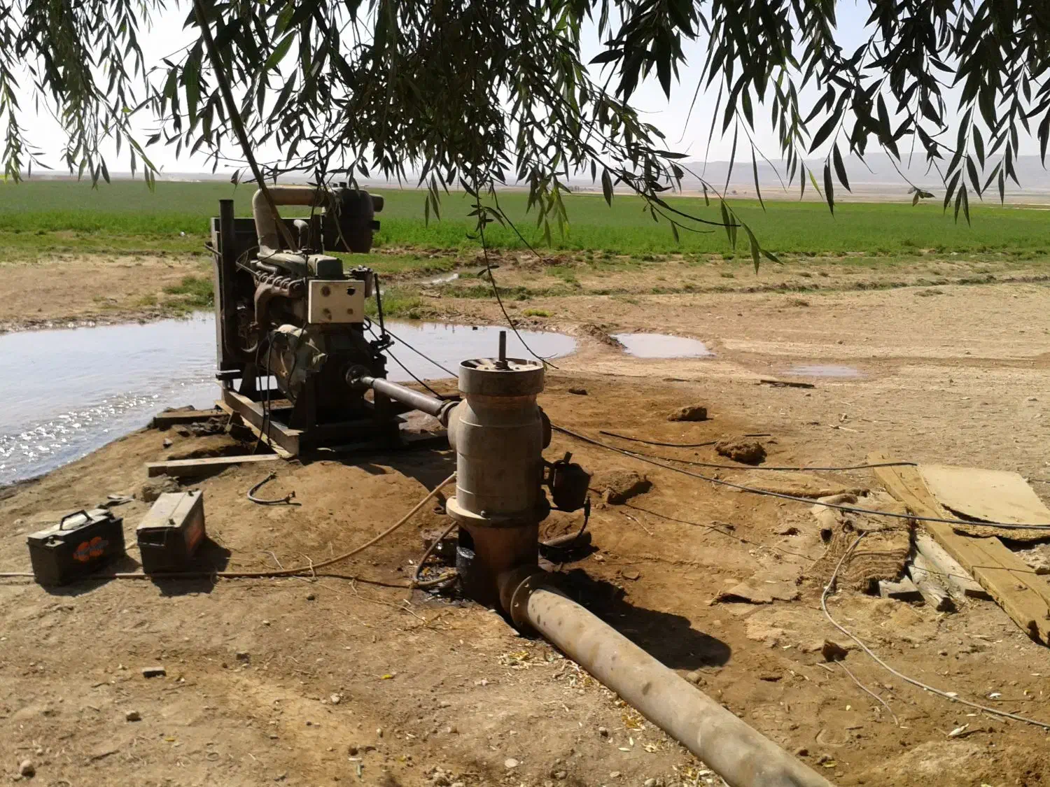 اجاره زمین کشاورزی|اجارهٔ دفتر صنعتی، کشاورزی، تجاری|بهمن صغاد, |دیوار