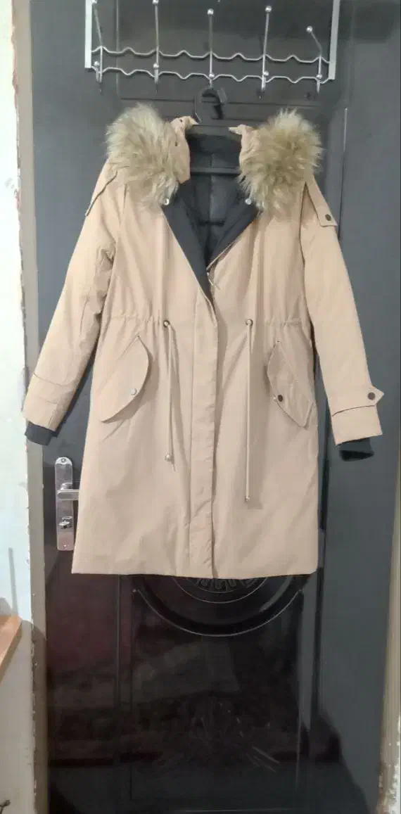 کاپشن دو منظوره خارجی|لباس|الوند, |دیوار