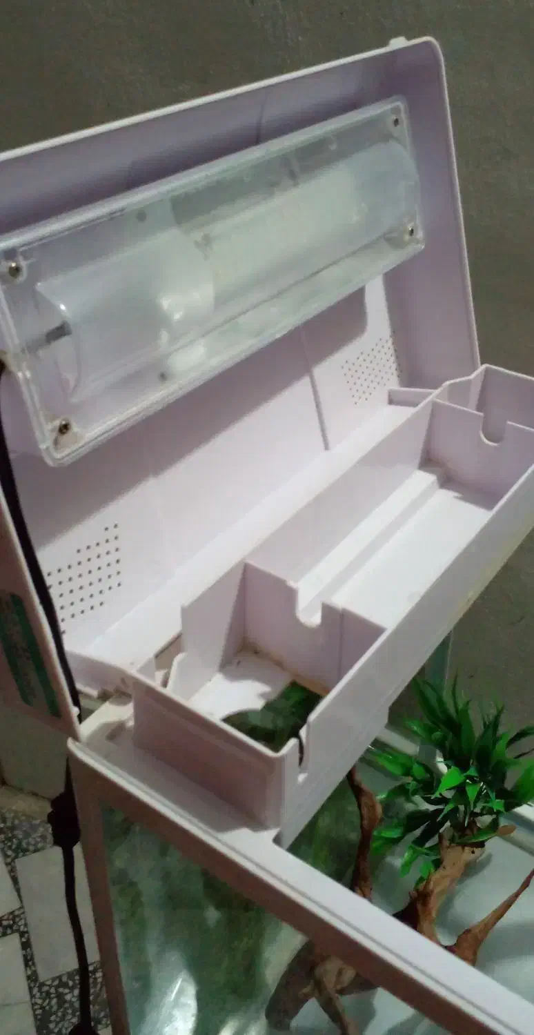 آکواریم سالم با وسیله|ماهی|بابل, |دیوار