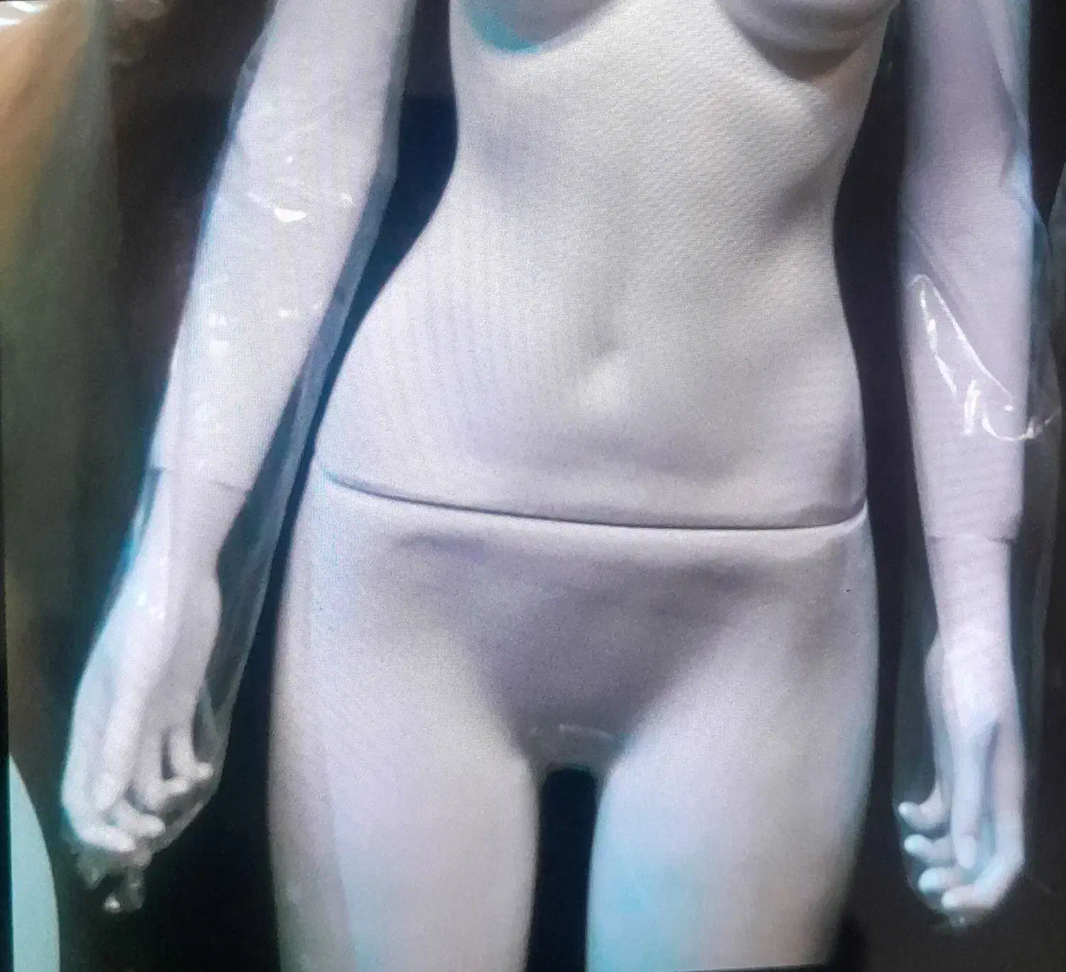 ۴ عدد مانکن زنانه نو وتعدادی رگال      بفروش میرسد|فروشگاه و مغازه|مشهد, جنت|دیوار