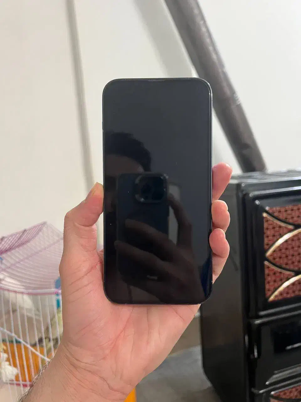 ایفون ۱۳ پرومکس فروشی|موبایل|بجنورد, |دیوار