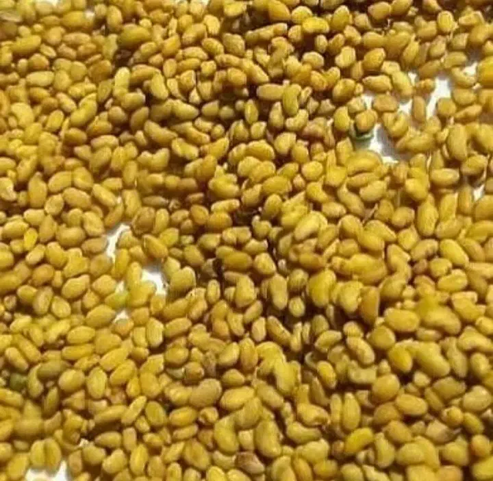 بذر یونجه مائوپا|گل و گیاه طبیعی|جره و بالاده, |دیوار