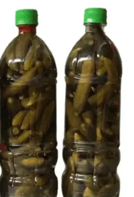 خیارشور ترشی خانگی|خوردنی و آشامیدنی|تهران, شمیراننو|دیوار