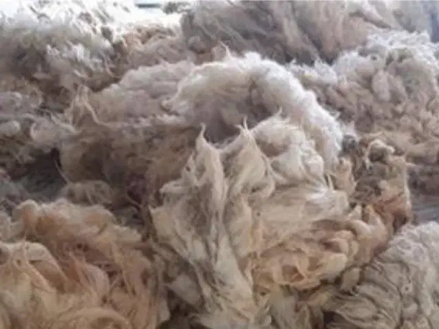 پشم گوسفند|رختخواب، بالش، پتو|چنگ الماسی, |دیوار