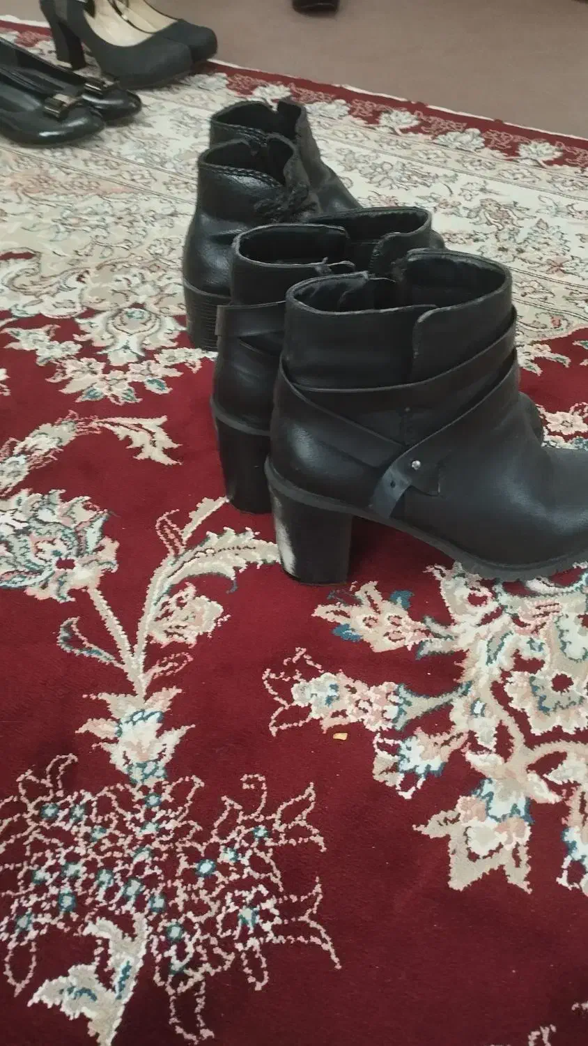 کفش|کیف، کفش، کمربند|تویسرکان, |دیوار