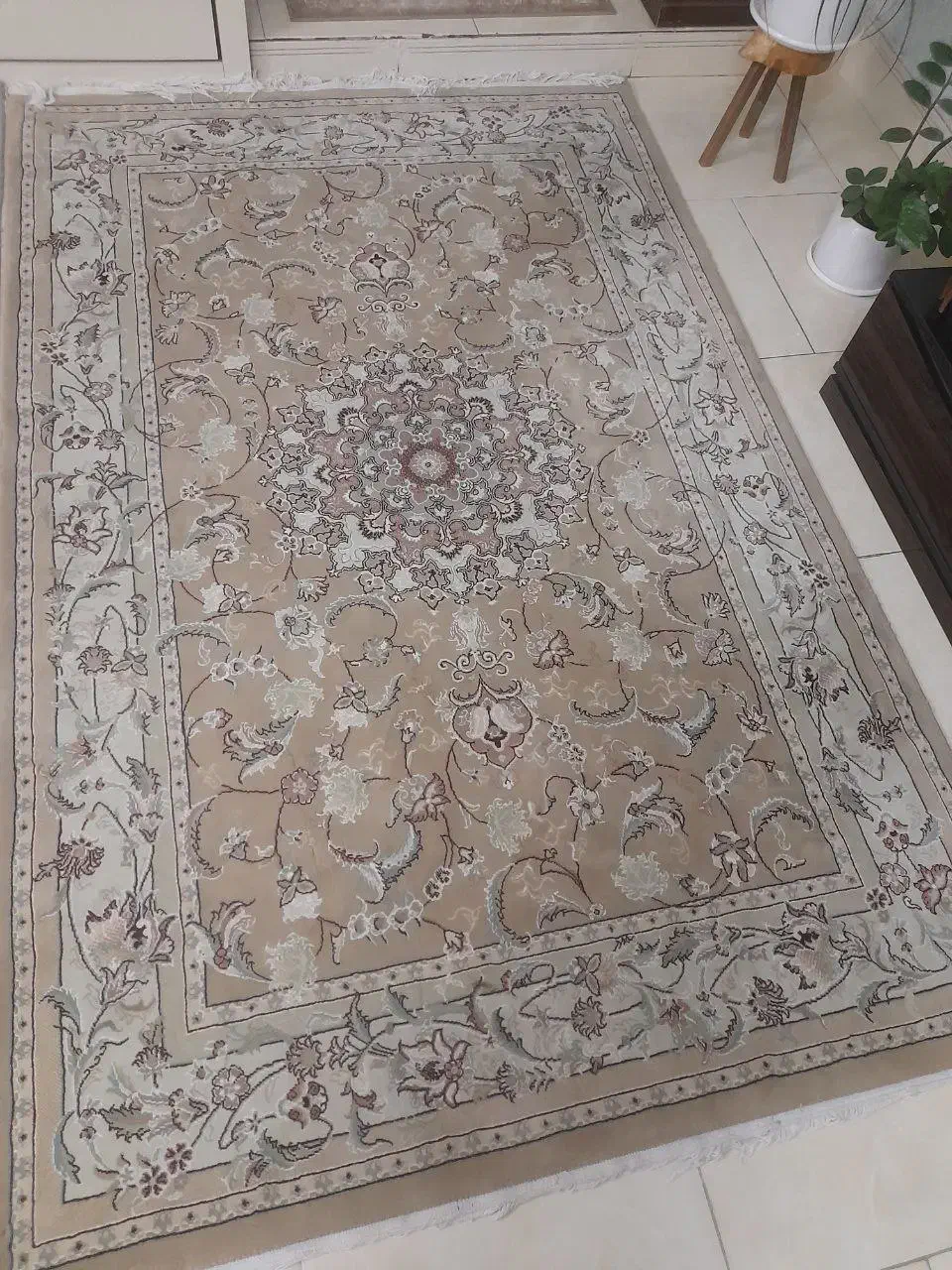 پرده و فرش سالم|فرش|مشهد, خرمشهر|دیوار