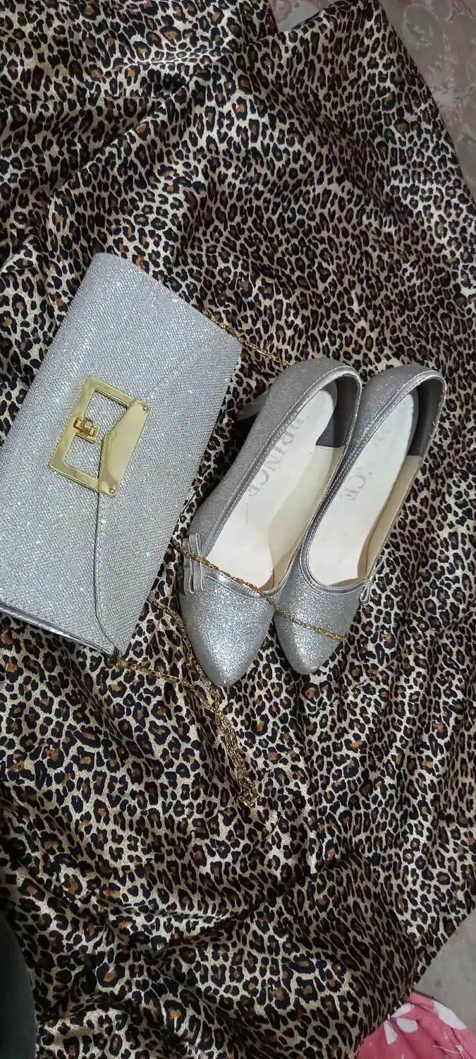 ست کیف وکفش شاین ودوجفت مجلسی|کیف، کفش، کمربند|ساری, |دیوار