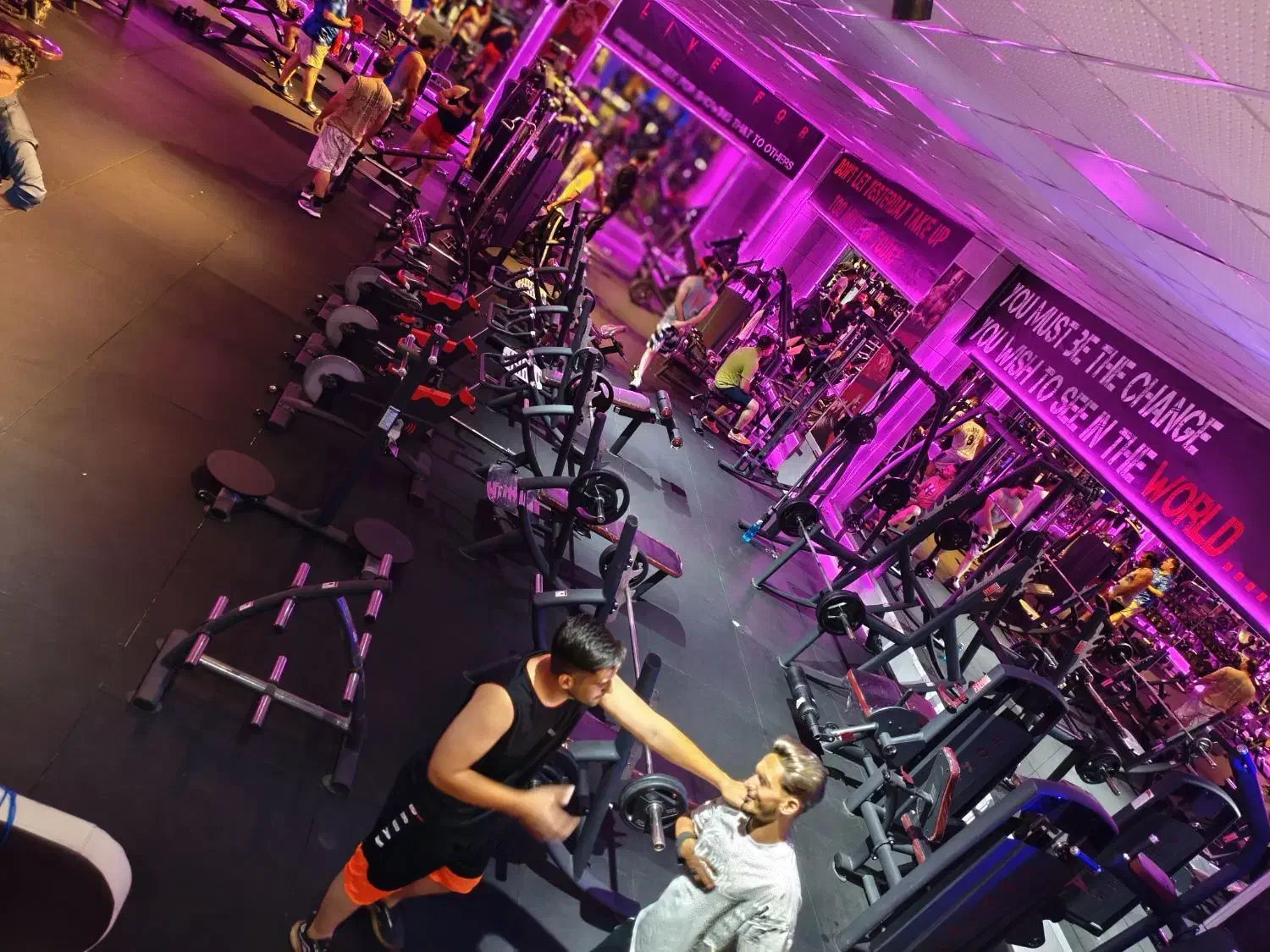 باشگاه بدنسازی پلاتو|تجهیزات ورزشی|شاهینشهر, فدک|دیوار