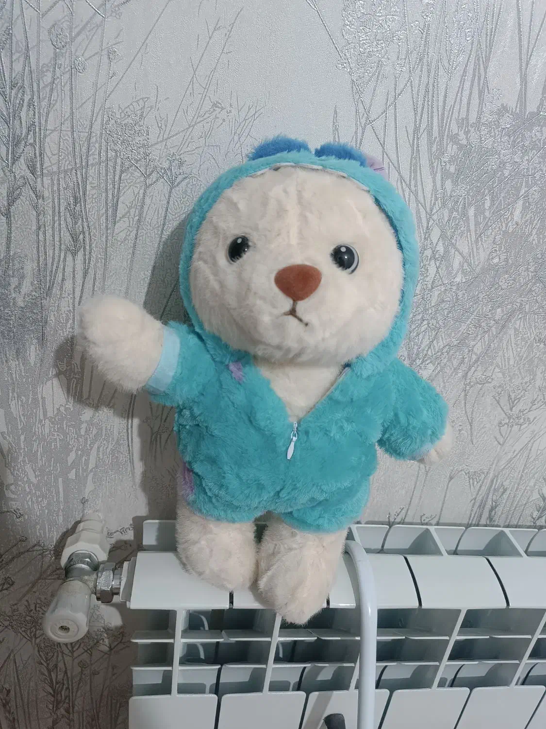 عروسک|اسباببازی|زنجان, |دیوار