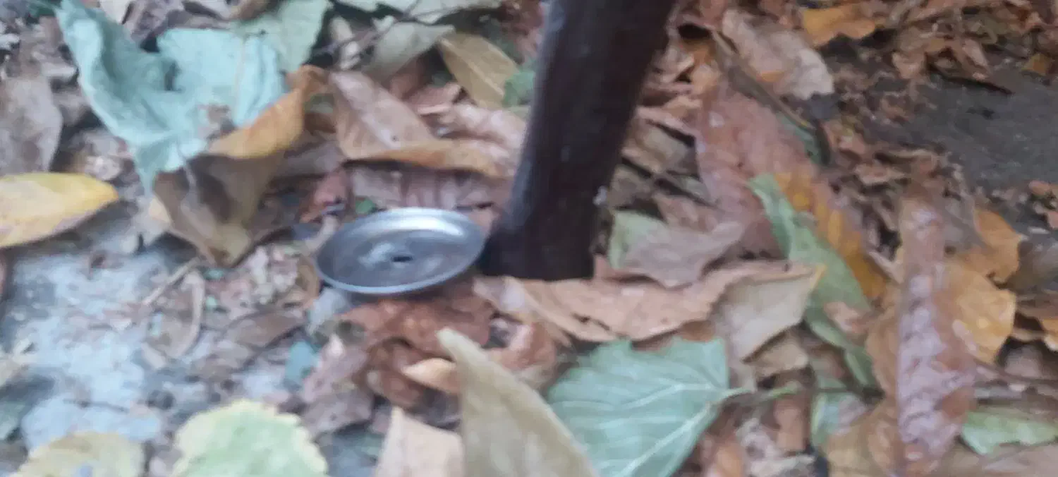 میز شیشه ای|بوفه، ویترین، کنسول|لواسان, |دیوار