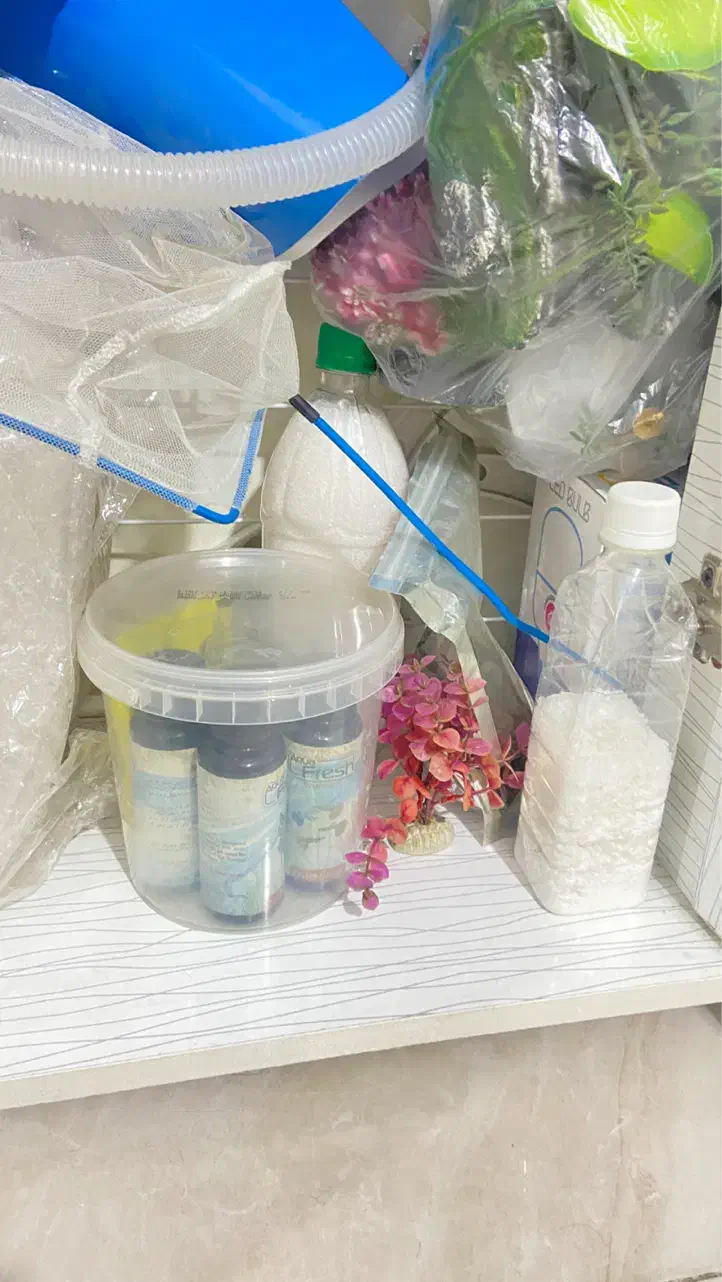 آکواریوم|ماهی|تهران, صادقیه|دیوار