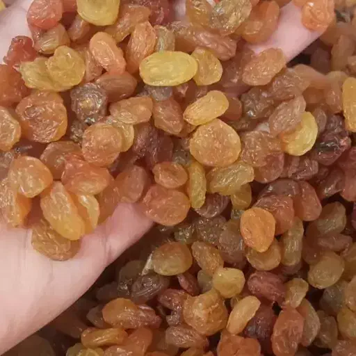 فروش کشمش عمده تامین مستقیم از کشاورز|خوردنی و آشامیدنی|اصفهان, احمدآباد|دیوار