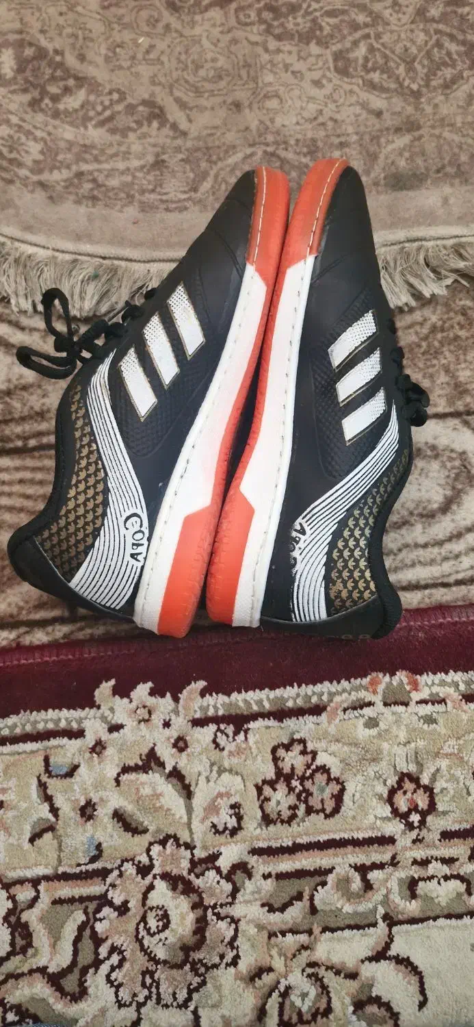 کفش سالنی|کیف، کفش، کمربند|شهرضا, |دیوار