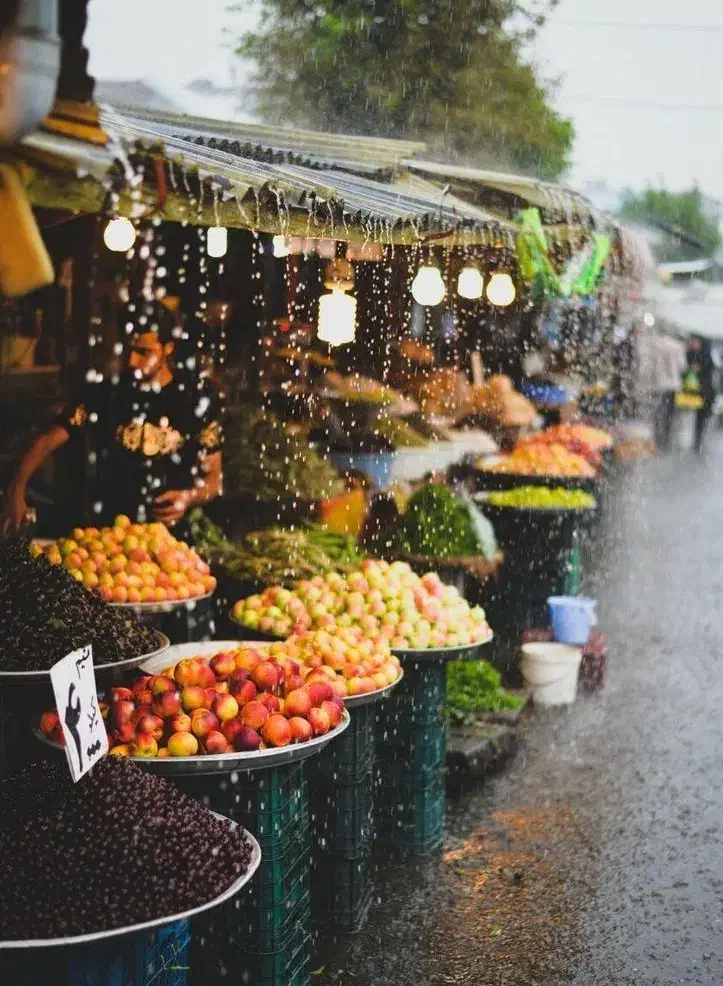 راهنمای مهاجرت به گیلان|فعالیت داوطلبانه|رشت, منظریه|دیوار