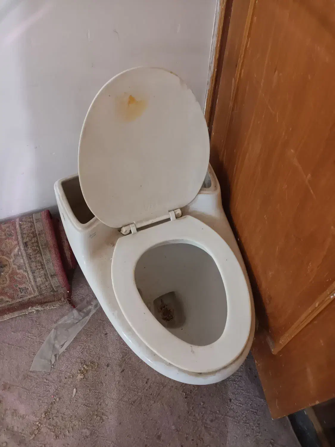 توالت فرنگی درجه یک قدیمی و بدون کارکرد|لوازم سرویس بهداشتی|بهبهان, |دیوار