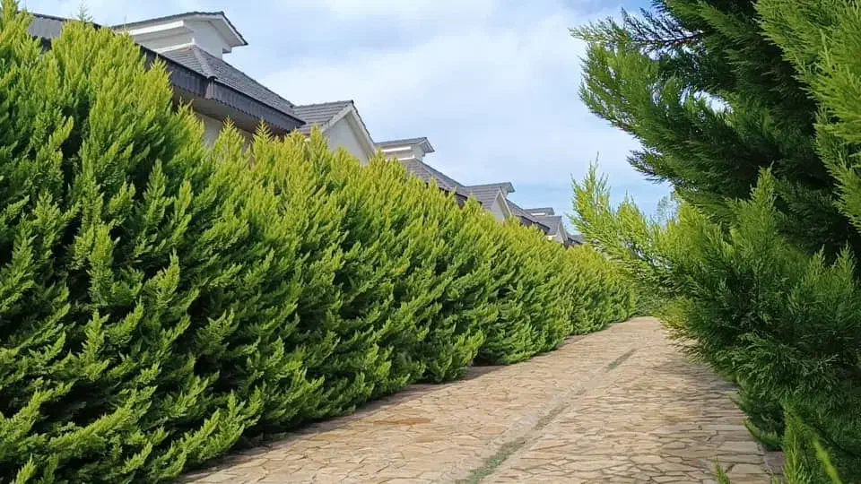 1700متر مشارکت|مشارکت در ساخت املاک|کرج, عظیمیه|دیوار