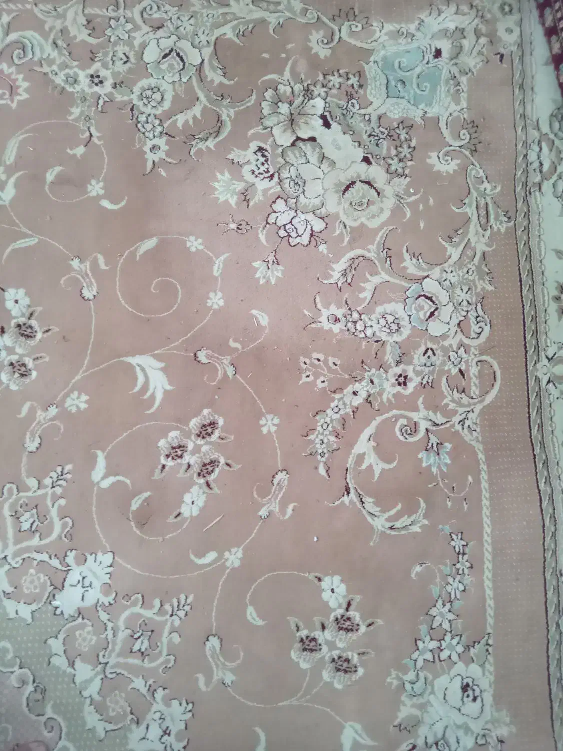 فرش|فرش|نیشابور, دربقاضی|دیوار