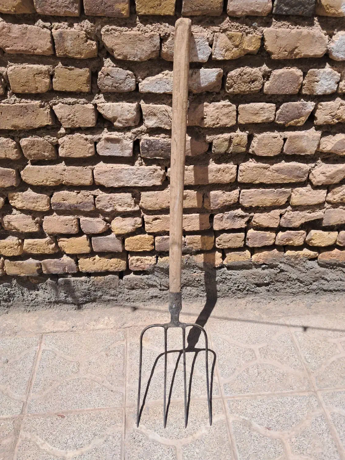 چهار شاخ برای کارهای کشاورزی قیمت ۳۰۰|گل و گیاه طبیعی|تربت جام, معدآباد|دیوار