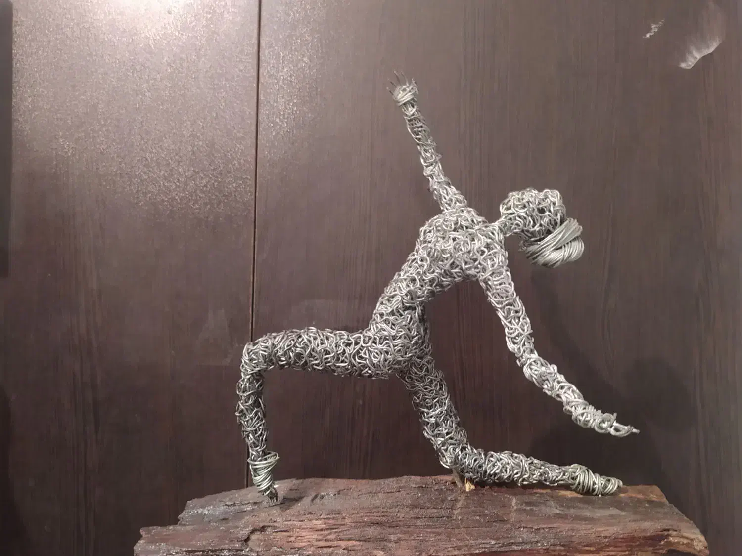 انجام سفارش انواع مجسمه سیمی+ آموزش|مجسمه، تندیس، ماکت|شیراز, اصلاح‌نژاد|دیوار