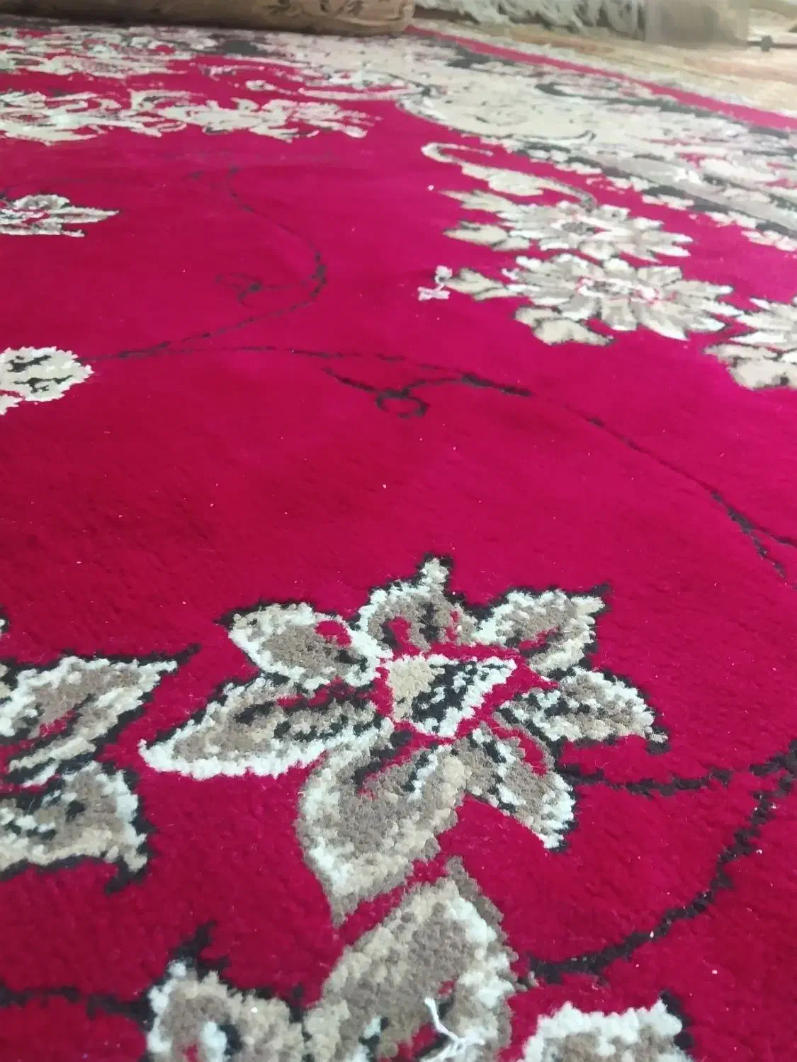 نظافت|خدمات نظافت|زابل, |دیوار