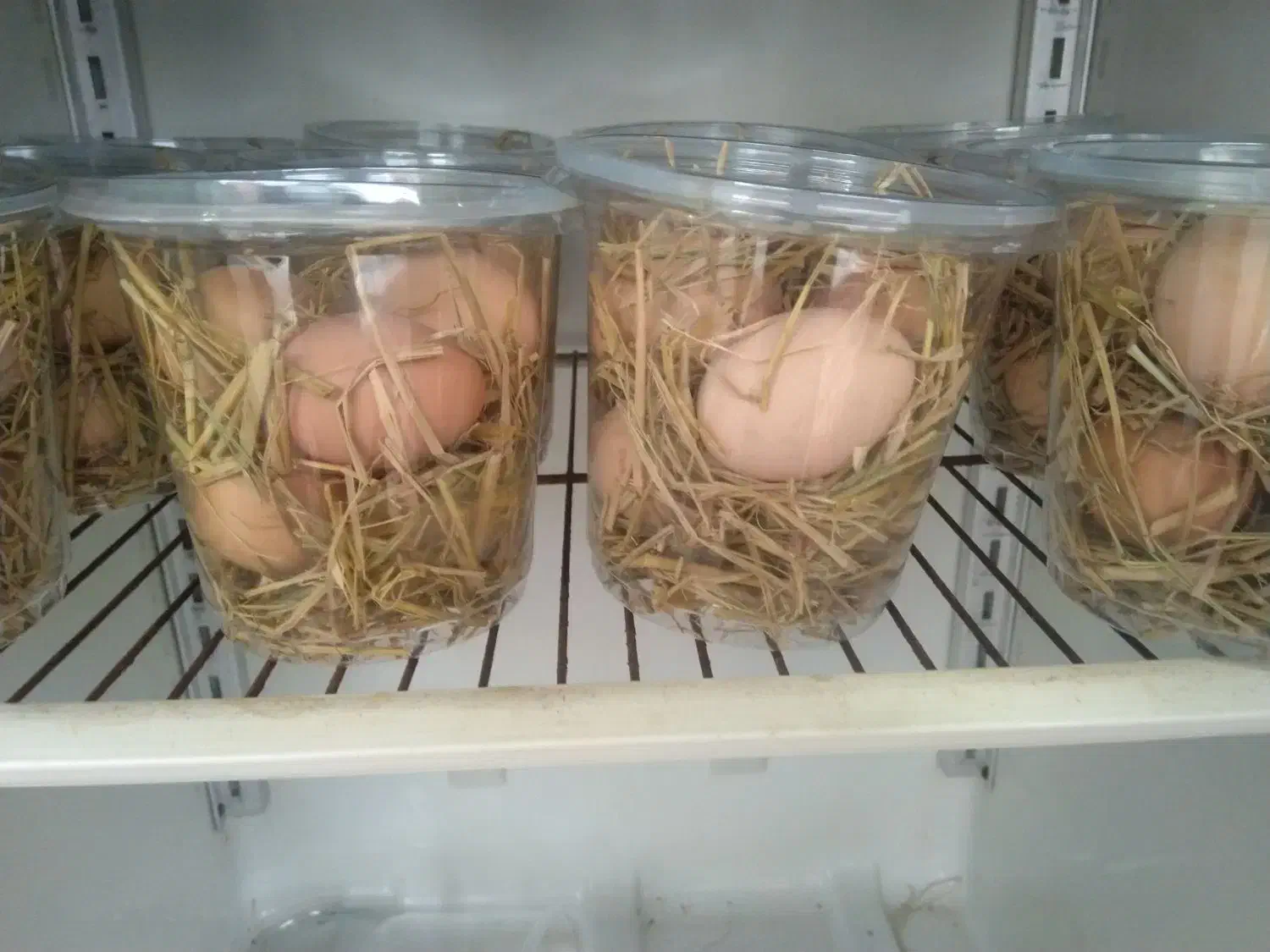 تخم مرغ گلپایگان|خوردنی و آشامیدنی|بهشهر, |دیوار