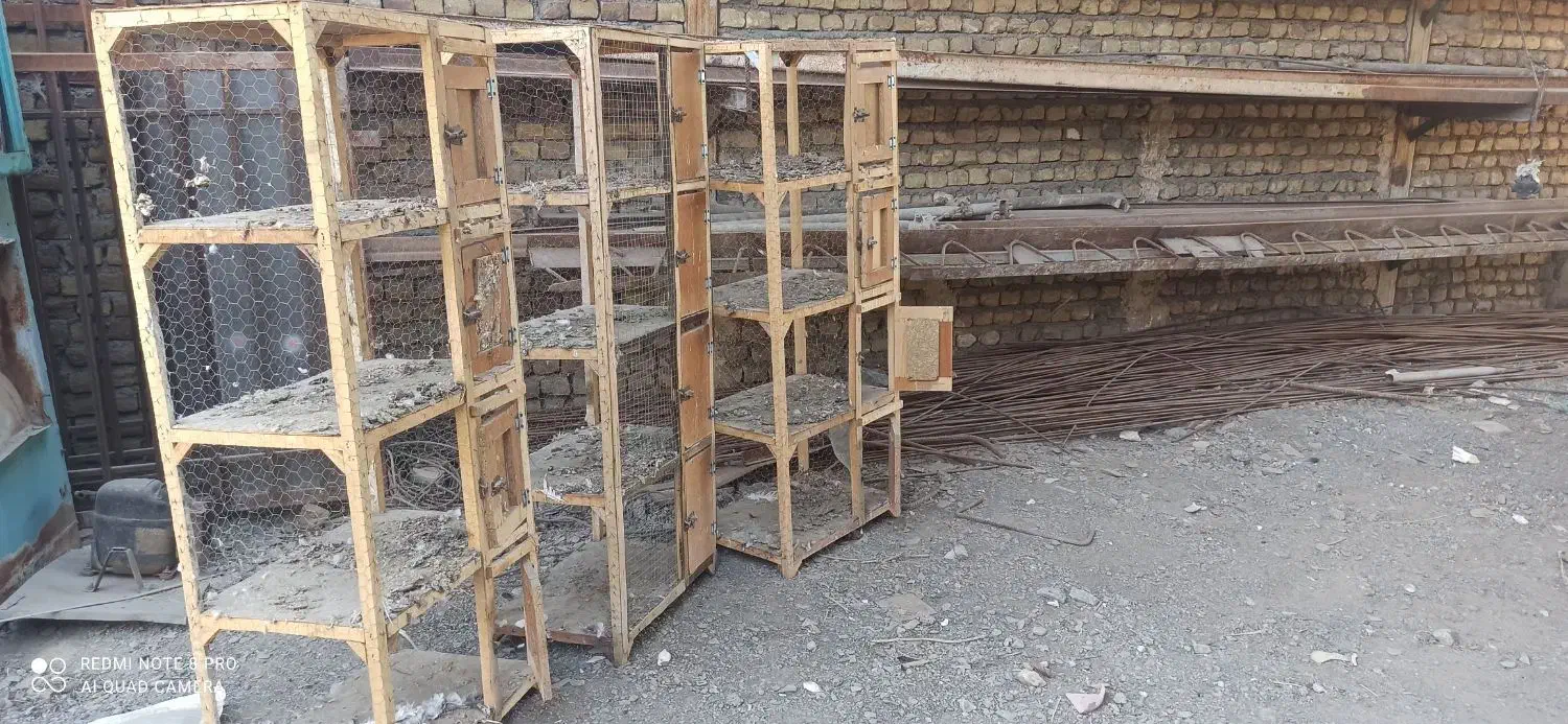 قفس جفتگاه|لوازم جانبی حیوانات|مشهد, عسگریه|دیوار