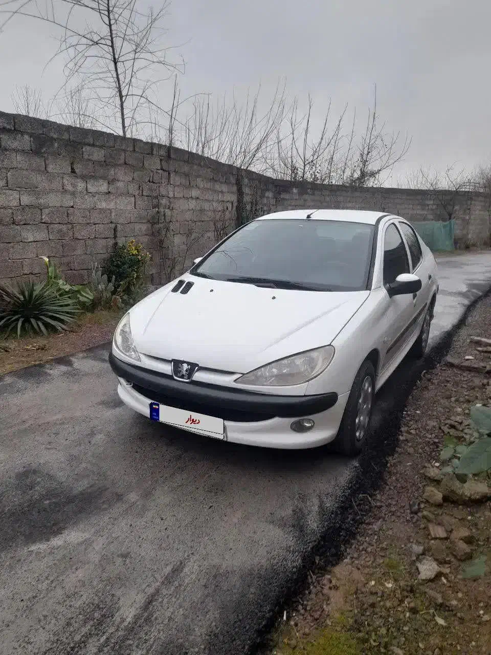 ۲۰۶ صندوق دار|خودرو سواری و وانت|تهران, هفده شهریور|دیوار