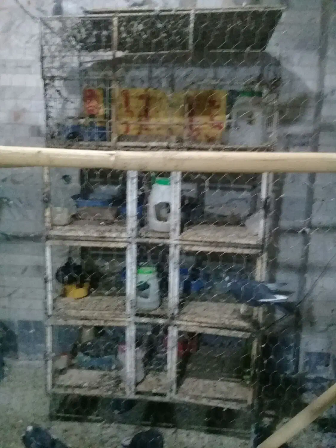 ساخت انواع جفت کن کبوتر طرح دل خواه شما|لوازم جانبی حیوانات|کرمان, |دیوار