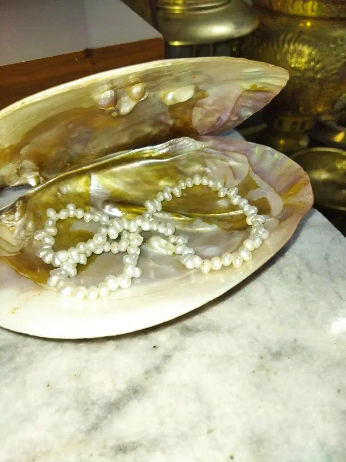 گرنبند مروارید اصل|جواهرات|سبزوار, پاسداران|دیوار