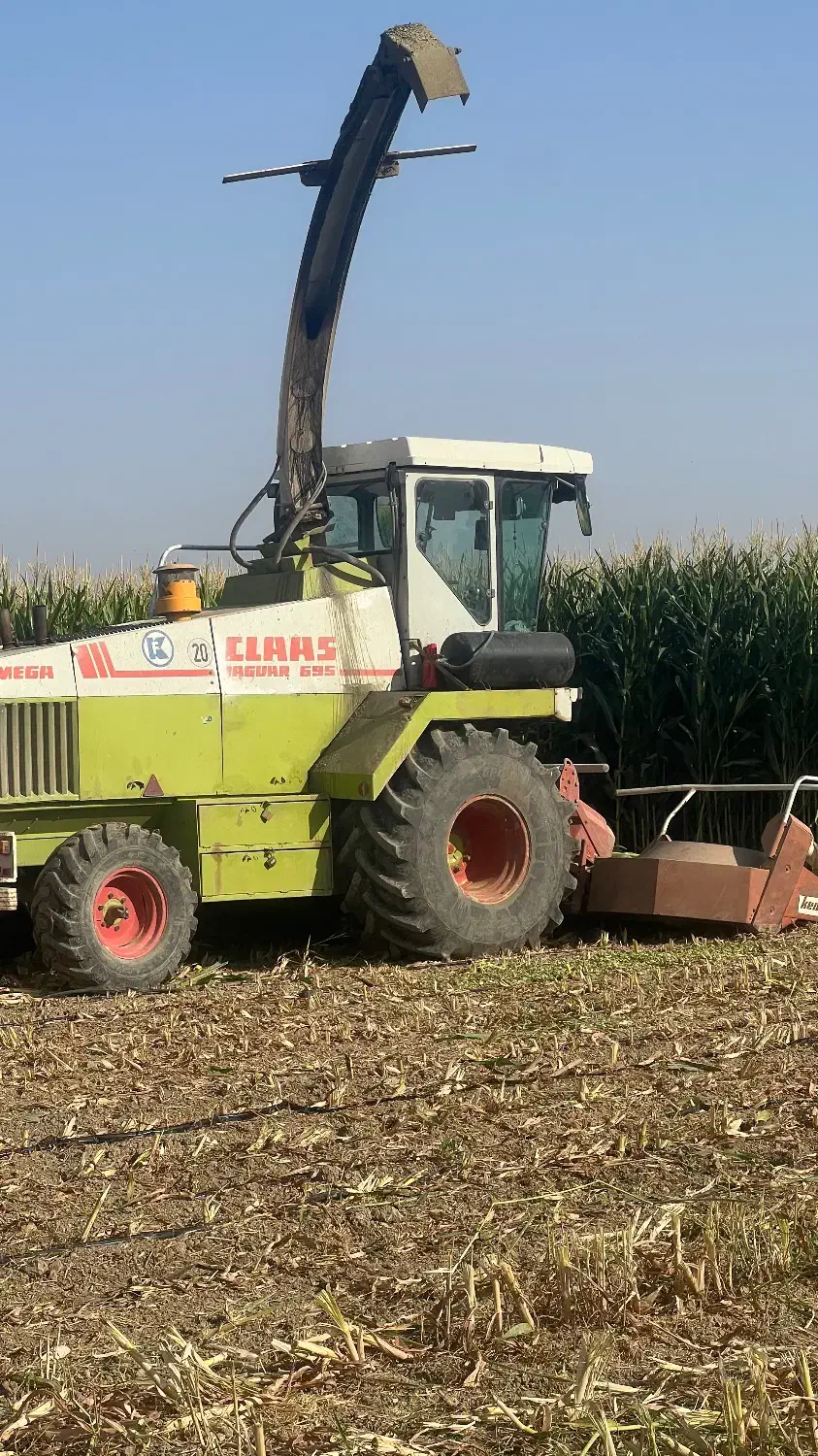 ذرت علوفه|خدمات باغبانی و درختکاری|مرودشت, شهرک مهدیه|دیوار