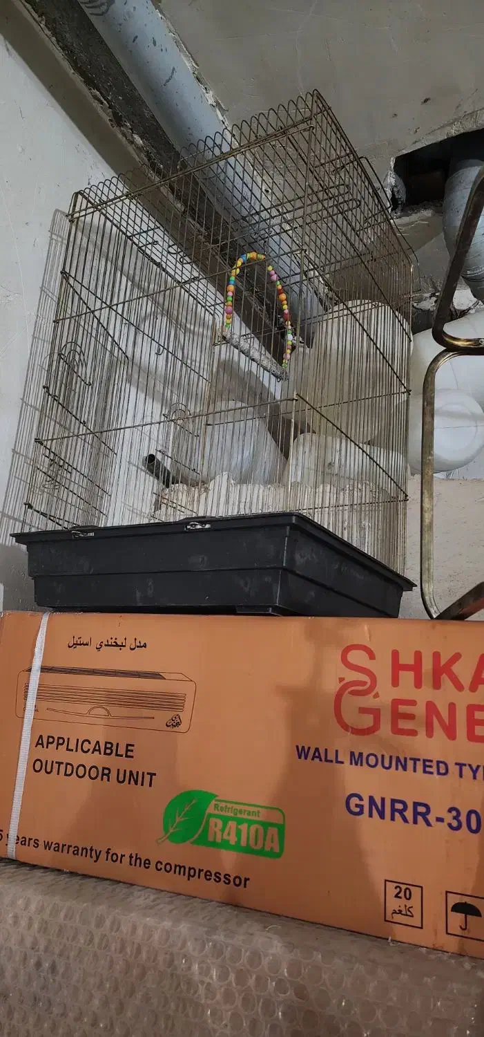 قفس|لوازم جانبی حیوانات|میاندوآب, |دیوار