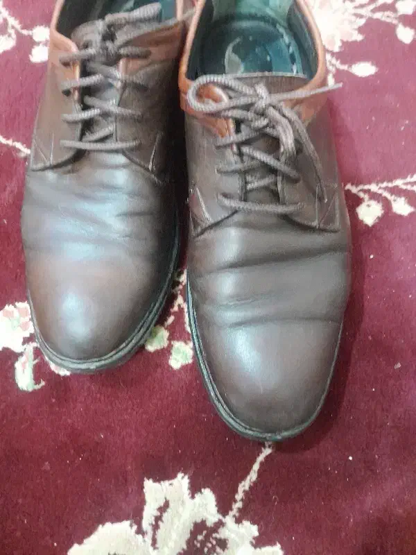 دو جفت کفش چرم سایز ۴۲|کیف، کفش، کمربند|شاندیز, |دیوار