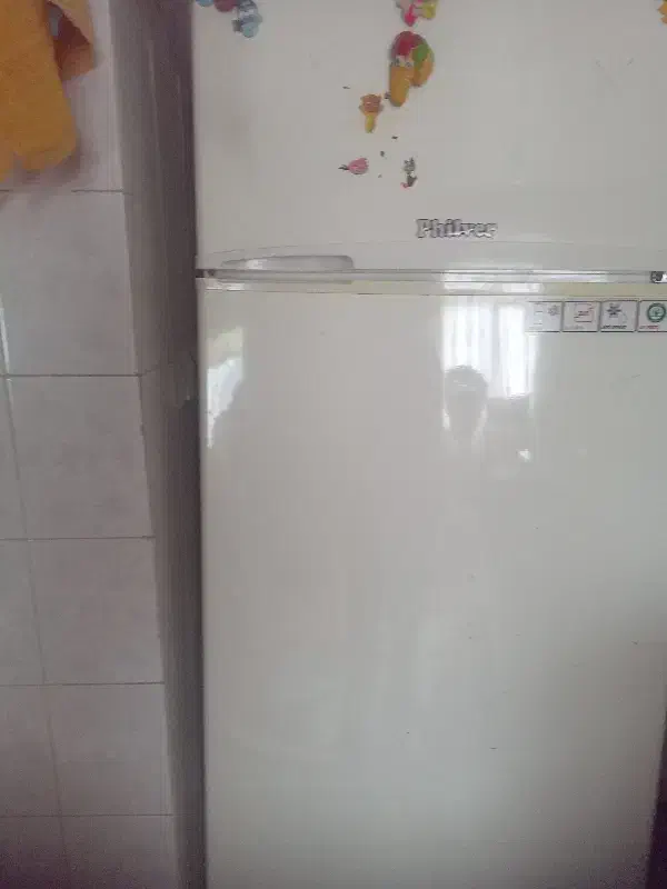 یخچال سالم برای تعمیرات درتعمیر کردیم|یخچال و فریزر|گلپایگان, |دیوار