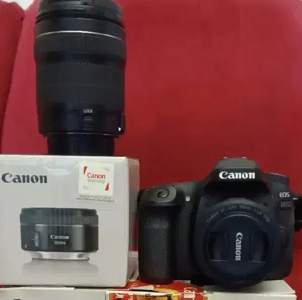 دوربین ۸۰دی|دوربین عکاسی و فیلم‌برداری|ری, علایین|دیوار