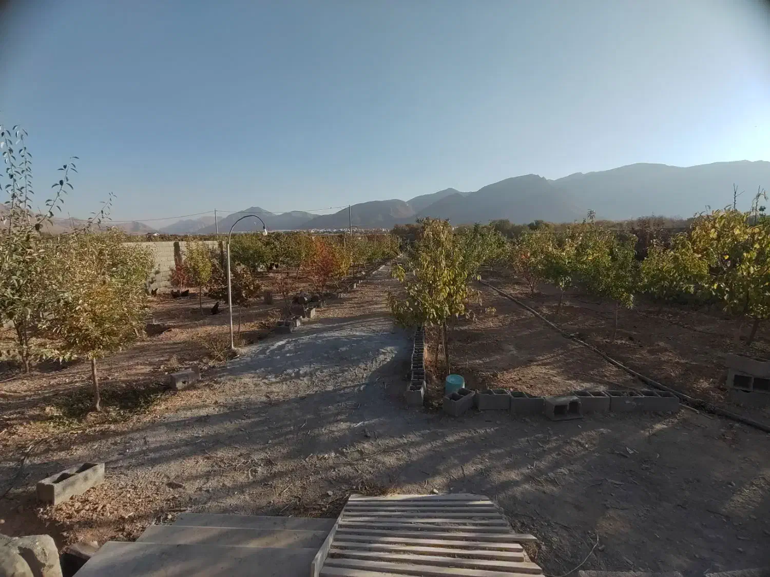 فروش باغ|فروش خانه و ویلا|دهاقان, |دیوار